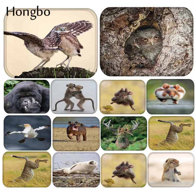 Hongbo Animal Fashion Door Mats 40*60cm Orangutan Owl Entrance Doormats Washable Kitchen Floor Bathroom
Hongbo Animal Fashion Door Mats 40*60cm Orangutan Owl Entrance Doormats Washable Kitchen Floor Bathroom