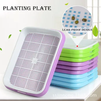 Hydroponics Basket Plant Germination Tray 1PC New Plastic Double-Layer Seedling Sprouter Nursery Tray Flower Box Garden Supplies
Hydroponics Basket Plant Germination Tray 1PC New Plastic Double-Layer Seedling Sprouter Nursery Tray Flower Box Garden Supplies