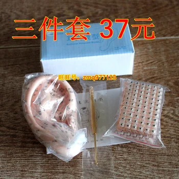 free shipping ear massage seed ear model Vaccaria seed ear press seed ear with probe
free shipping ear massage seed ear model Vaccaria seed ear press seed ear with probe