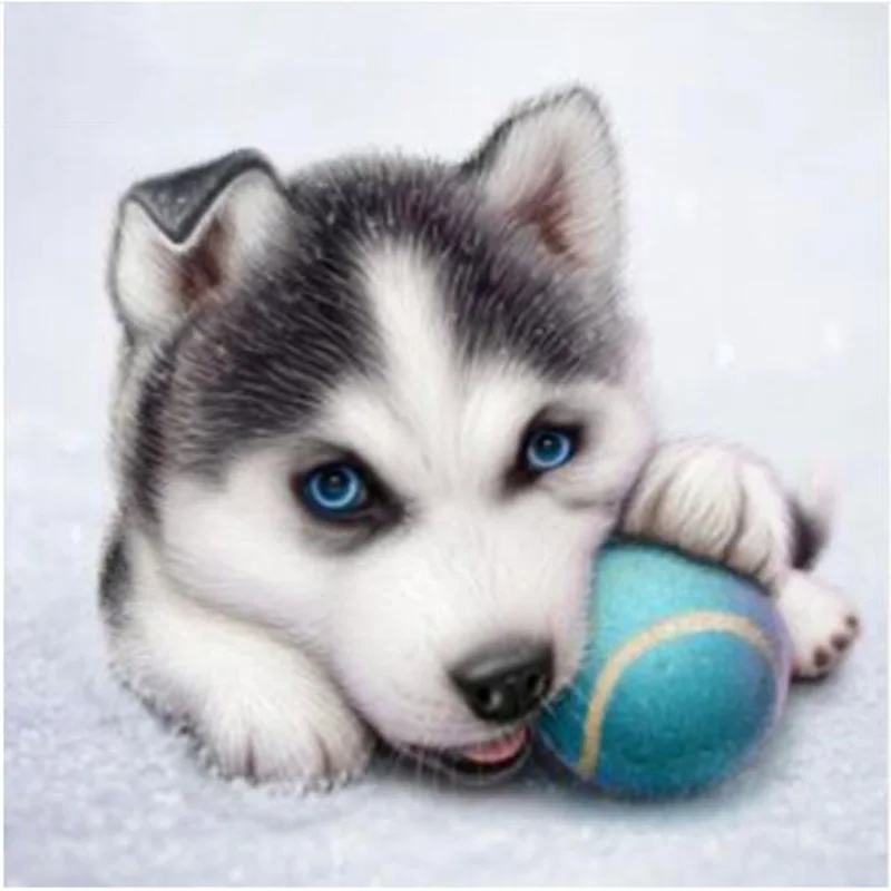 5D DIY Diamond Painting Cute Dog Full Diamond Embroidered Animal Cross Stitch Round Rhinestone Room Decoration Craft Painting
5D DIY Diamond Painting Cute Dog Full Diamond Embroidered Animal Cross Stitch Round Rhinestone Room Decoration Craft Painting