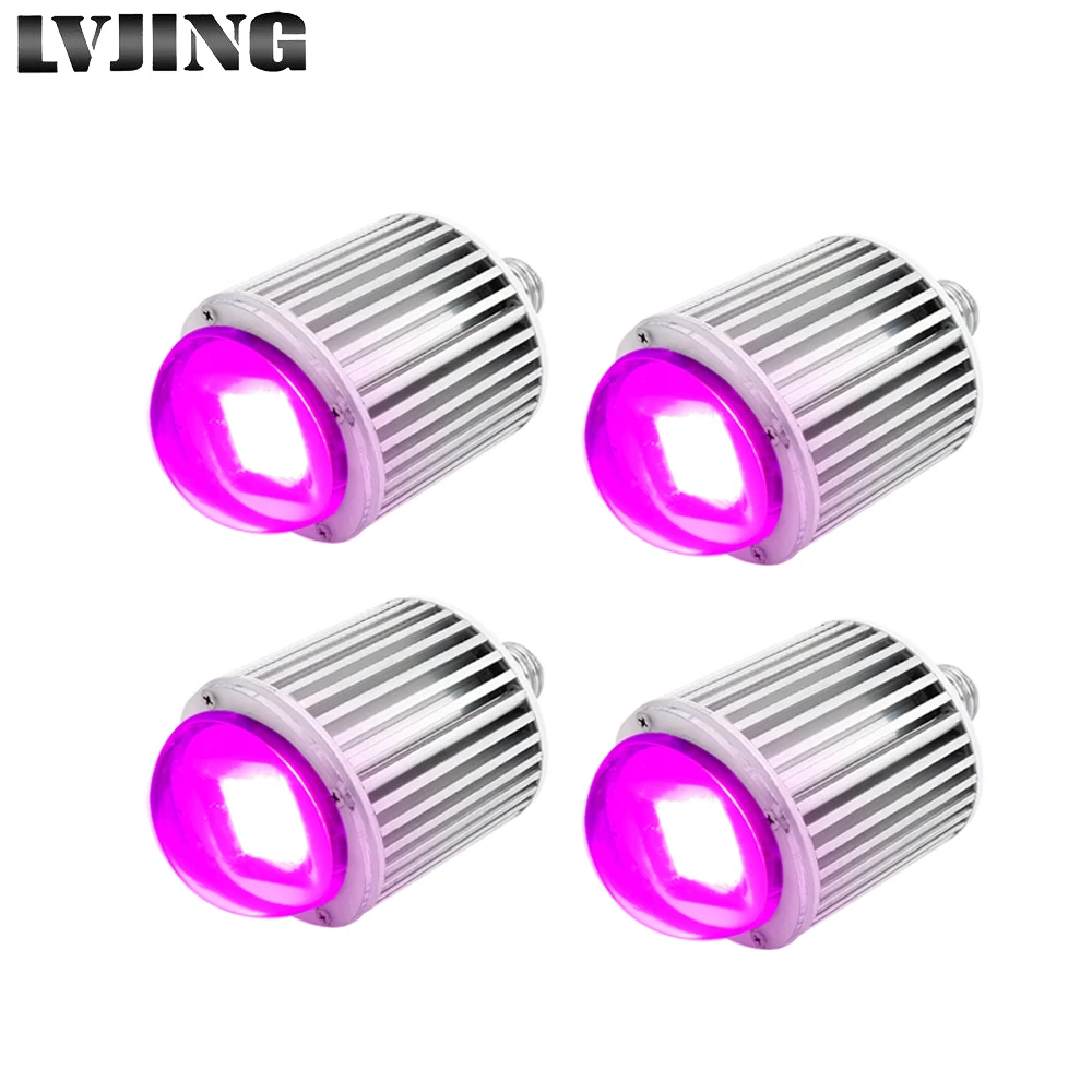 4Pcs/Lot Led Grow Lights 60W Full Spectrum fitolamp phyto spotlight For Indoor Plant Flower Greenhouse Vegs Hydroponics LED Lamp
4Pcs/Lot Led Grow Lights 60W Full Spectrum fitolamp phyto spotlight For Indoor Plant Flower Greenhouse Vegs Hydroponics LED Lamp