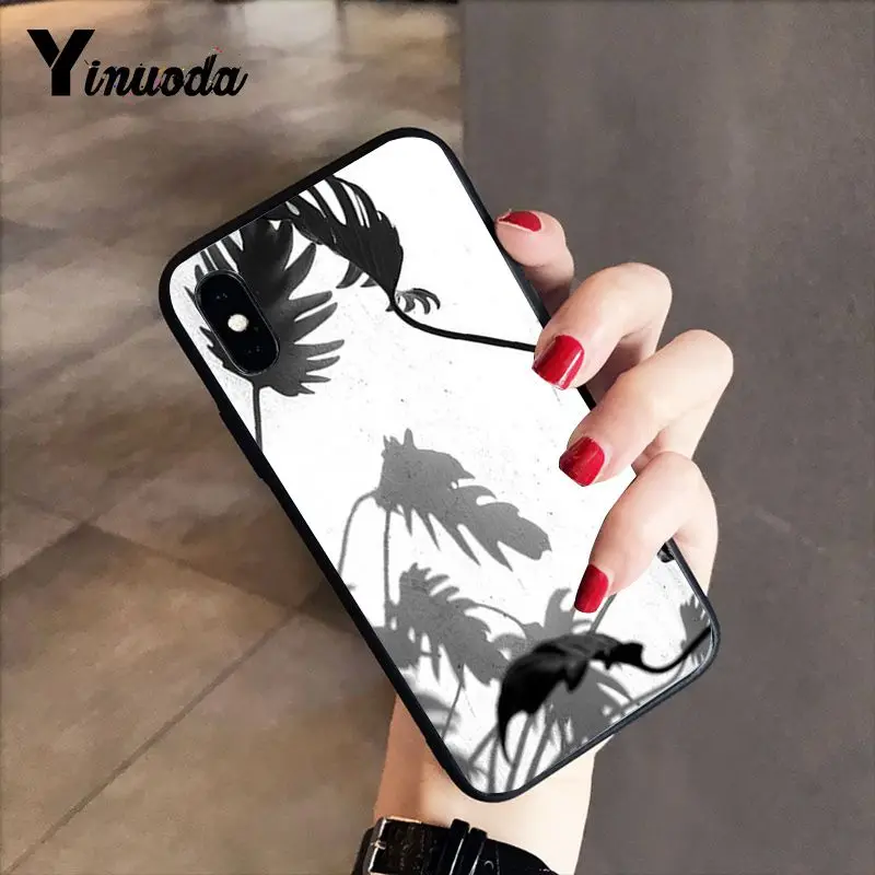 Black white palm leaves palm trees