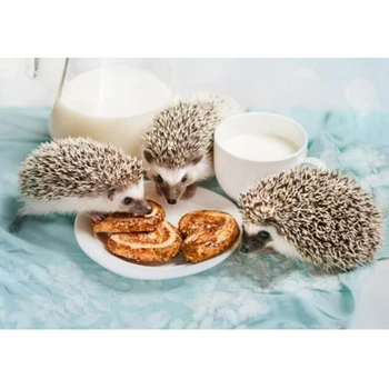 Milk hedgehog 5D Diamond Embroidery Square/Round drill Cross Stitch diy Needlework Rhinestone Home Decor Diamond Painting H591
Milk hedgehog 5D Diamond Embroidery Square/Round drill Cross Stitch diy Needlework Rhinestone Home Decor Diamond Painting H591