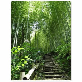 Blanket Comfort Warmth Soft Plush Easy Care Machine Wash Bamboo forest road green forest Sofa Bed Throw Kid Adult Warm Blanket
Blanket Comfort Warmth Soft Plush Easy Care Machine Wash Bamboo forest road green forest Sofa Bed Throw Kid Adult Warm Blanket