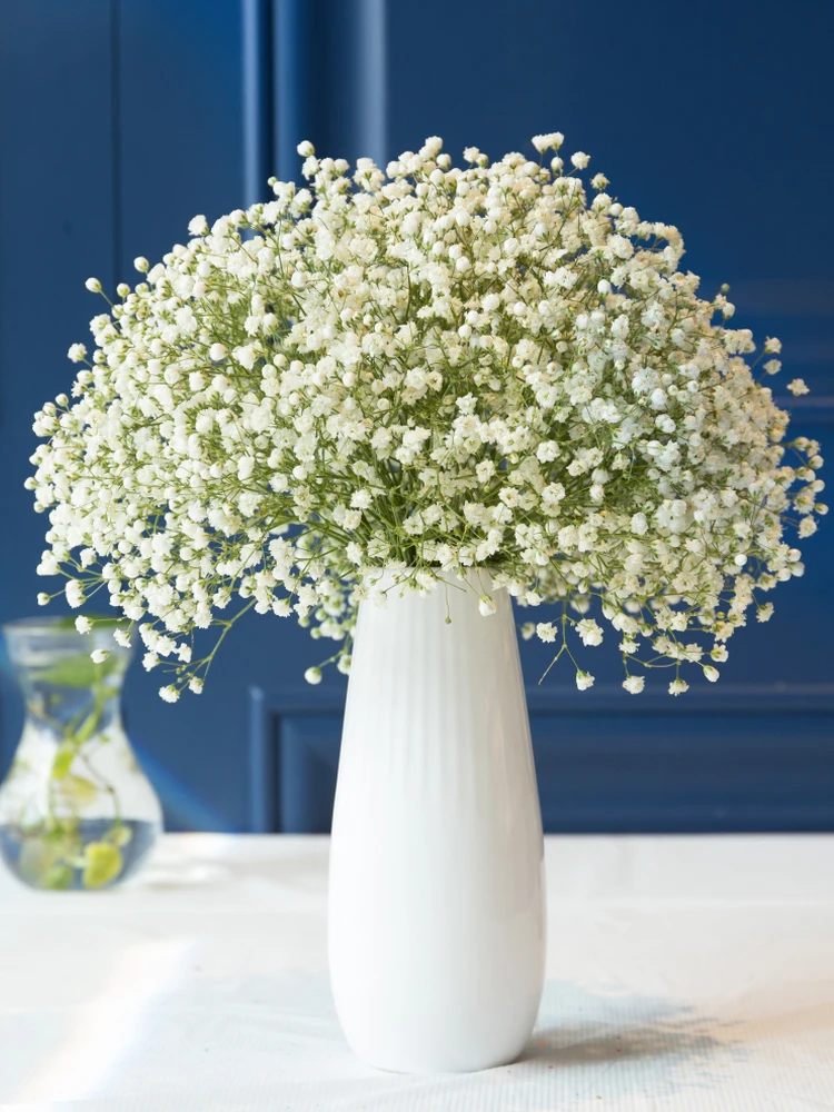 Dried flowers vase Suit Gypsophila Everlasting flower Home living room furnishings Decorative flower arrangement
Dried flowers vase Suit Gypsophila Everlasting flower Home living room furnishings Decorative flower arrangement