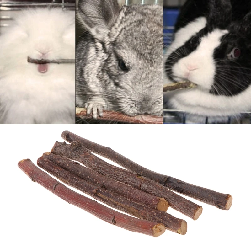 Фото Жевательная палочка ветка яблони хомяк белка натуральные кролики игрушка