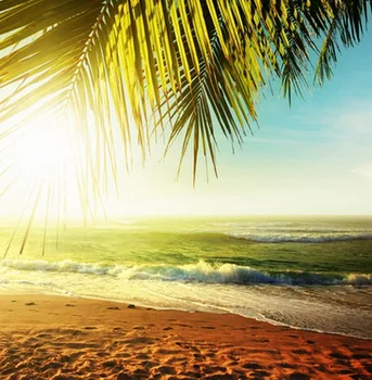Seaside beach photo background for studio child birth party dector photography backdrops newborns photobooth backdrop D-9274
Seaside beach photo background for studio child birth party dector photography backdrops newborns photobooth backdrop D-9274