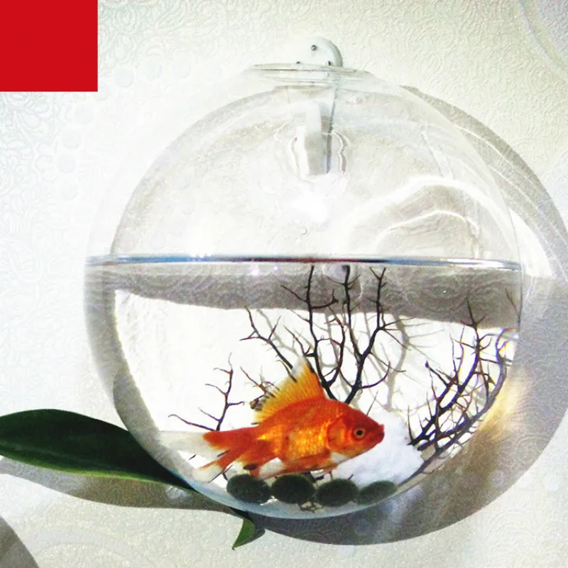 Hanging Glass Vase Fish Tank Multi-purpose Transparent Wall Decoration Glass Jewelry Decoration Aquarium Fish Tank Accessories
Hanging Glass Vase Fish Tank Multi-purpose Transparent Wall Decoration Glass Jewelry Decoration Aquarium Fish Tank Accessories