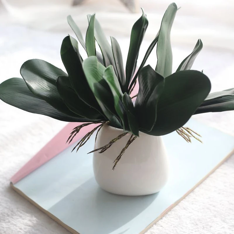 1pcs DIY Phalaenopsis Leaf Artificial Plant Leaf Decorative Real Touch Auxiliary Material Flower Decoration Orchid Leaves
1pcs DIY Phalaenopsis Leaf Artificial Plant Leaf Decorative Real Touch Auxiliary Material Flower Decoration Orchid Leaves