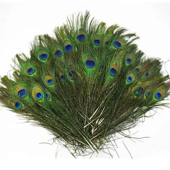 300 Pcs/pack Real Natural Peacock Eyes Tail Feathers Beautiful Natural Feathers Wedding Party Embellishments Making Decoration
300 Pcs/pack Real Natural Peacock Eyes Tail Feathers Beautiful Natural Feathers Wedding Party Embellishments Making Decoration