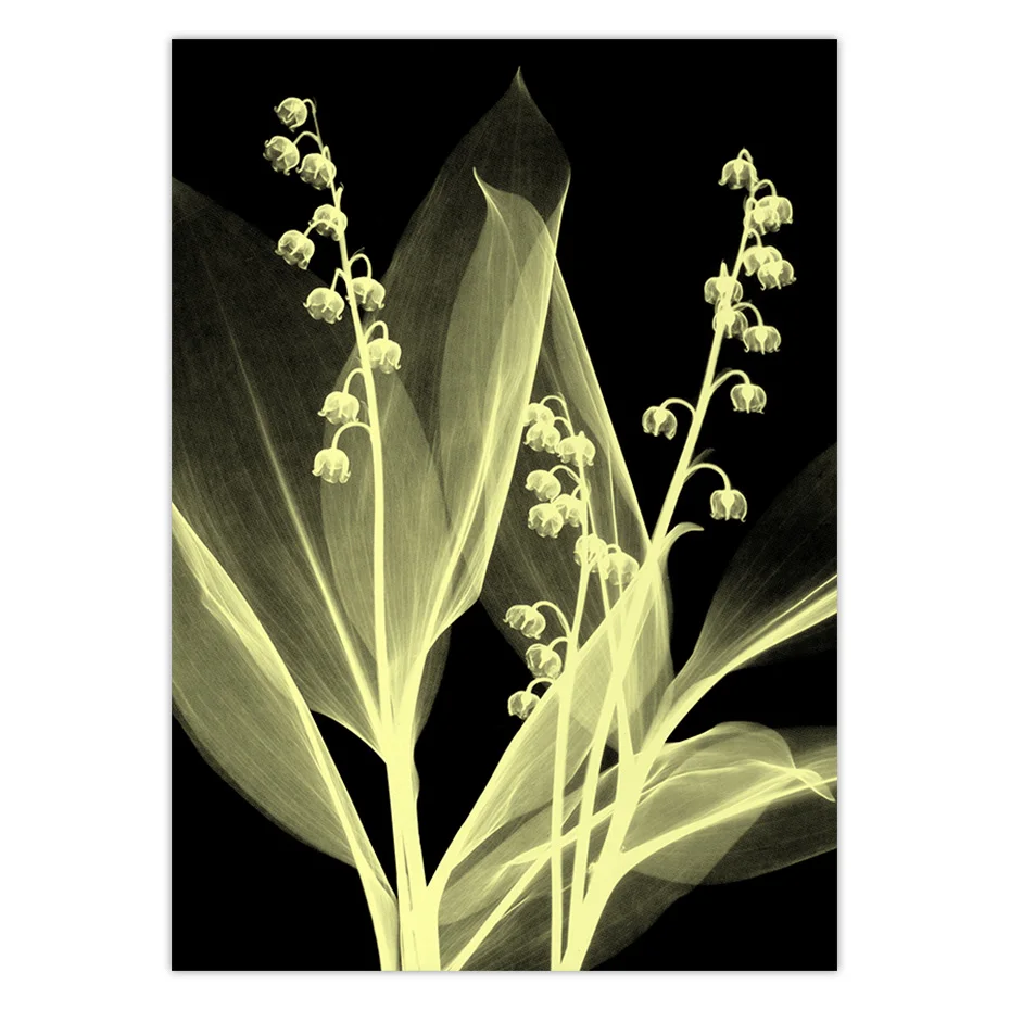 color_opt_13
