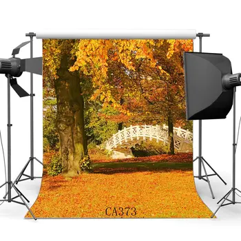 Photography Backdrop Rural Forest Trees Fall Leaves Nature Autumn Scene Portraits Background Photo Studio Prop CA373
Photography Backdrop Rural Forest Trees Fall Leaves Nature Autumn Scene Portraits Background Photo Studio Prop CA373
