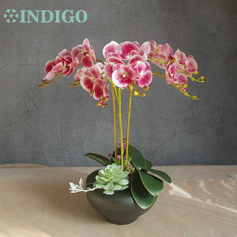 3D Chinese Style Orchid Flower Arrangment (3 Orchid+3 leaves+1Succulent+1 Dandelion ) Purple Real Touch Flower Free Shipping
3D Chinese Style Orchid Flower Arrangment (3 Orchid+3 leaves+1Succulent+1 Dandelion ) Purple Real Touch Flower Free Shipping