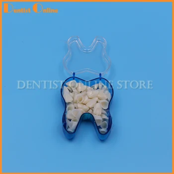 50Pcs/Box Pro Dental Teeth Realistic Dental Crown Oral Care Resin Porcelain Dental Temporary Crown For Anterior & Molar Teeth
50Pcs/Box Pro Dental Teeth Realistic Dental Crown Oral Care Resin Porcelain Dental Temporary Crown For Anterior & Molar Teeth