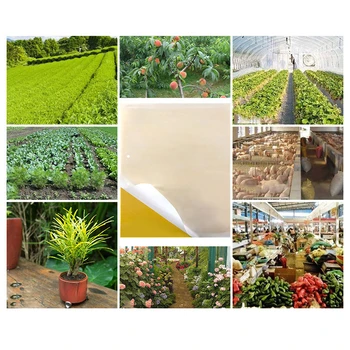 ZOCDOU 20 Pieces Useful Insect Stick Cardboard Trap Pest Moth Pitfall Plate Hang Glue Net Bait Killer Bug for Home Garden Tree
ZOCDOU 20 Pieces Useful Insect Stick Cardboard Trap Pest Moth Pitfall Plate Hang Glue Net Bait Killer Bug for Home Garden Tree