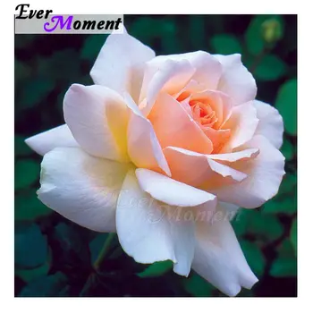 Ever Moment Diamond Painting Locus Full Square Drill Mosaic Cross Stitch Handmade Diamond Embroidery Decoration Home ASF1396
Ever Moment Diamond Painting Locus Full Square Drill Mosaic Cross Stitch Handmade Diamond Embroidery Decoration Home ASF1396