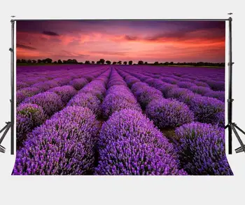 150x220cm Dusk View Backdrop Ultra Violet Lavender Garden Photography Background Color of the Year 2018 Love Wedding Party
150x220cm Dusk View Backdrop Ultra Violet Lavender Garden Photography Background Color of the Year 2018 Love Wedding Party