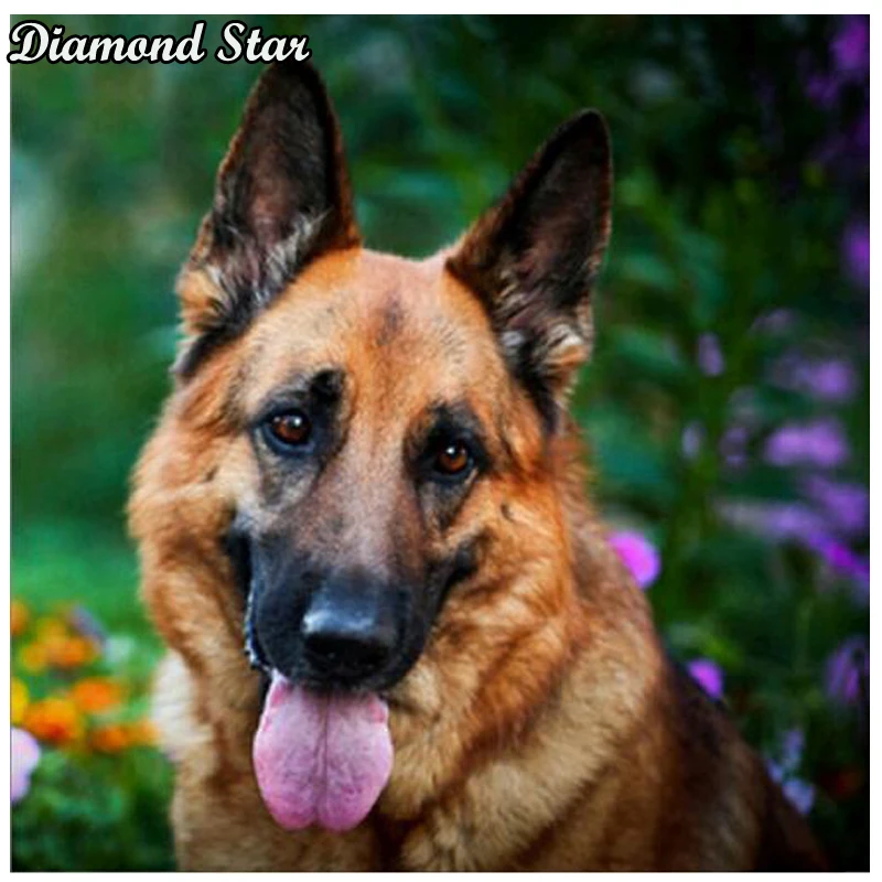DIY Diamond Embroidery wolf dog Diamond Painting Cross Stitch Full Square Rhinestone Mosaic Unfinished Home Decoration Gift
DIY Diamond Embroidery wolf dog Diamond Painting Cross Stitch Full Square Rhinestone Mosaic Unfinished Home Decoration Gift