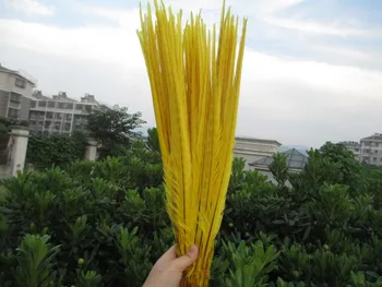 Free shipping 50pcst yellow dyed Pheasant Feathers 50-55cm 20-22 inches Pheasant tail feathers
Free shipping 50pcst yellow dyed Pheasant Feathers 50-55cm 20-22 inches Pheasant tail feathers