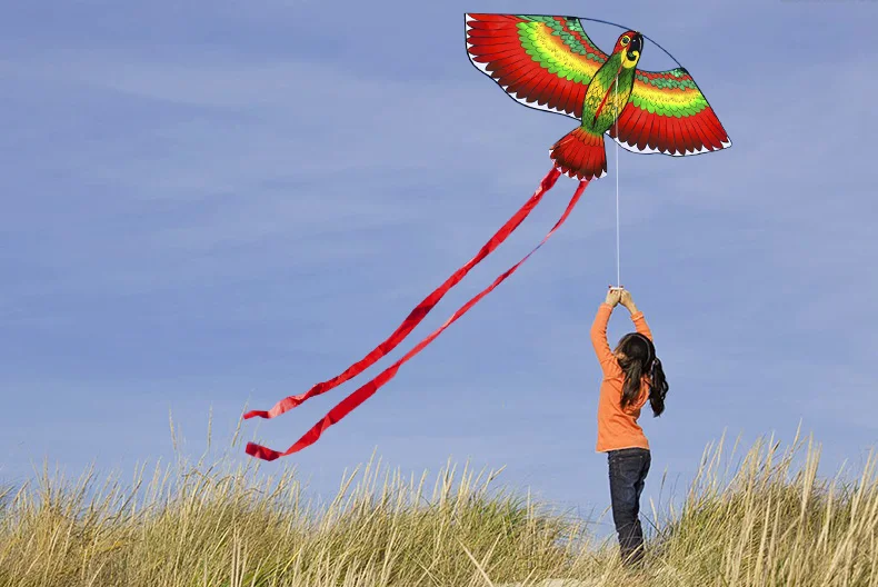 110x50cm Papageien Drachen Kite Für Kinder Outdoor Spiele Geschenk 