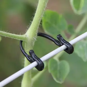 Useful 100Pcs U Type Tomato Clips Trellis Garden Vegetable Strong Binder Twine Plant Support A Tomato
Useful 100Pcs U Type Tomato Clips Trellis Garden Vegetable Strong Binder Twine Plant Support A Tomato