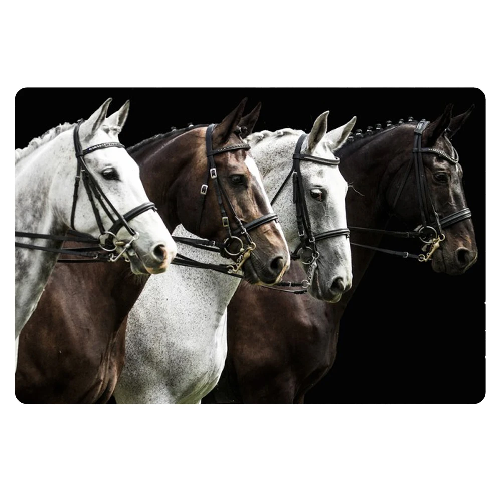 Funny Doormat 3d Crazy Horse Printed Welcome Home Floor Mats Non-slip Kitchen Rugs Bathroom Entrance Mat Christmas Gift
Funny Doormat 3d Crazy Horse Printed Welcome Home Floor Mats Non-slip Kitchen Rugs Bathroom Entrance Mat Christmas Gift