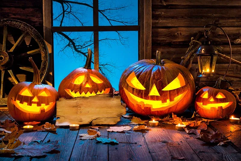 Pumpkins evils Halloween party backdrop photography Vinyl backdrops for Photography Studio Backdrop Photo Background 3x5FT
Pumpkins evils Halloween party backdrop photography Vinyl backdrops for Photography Studio Backdrop Photo Background 3x5FT
