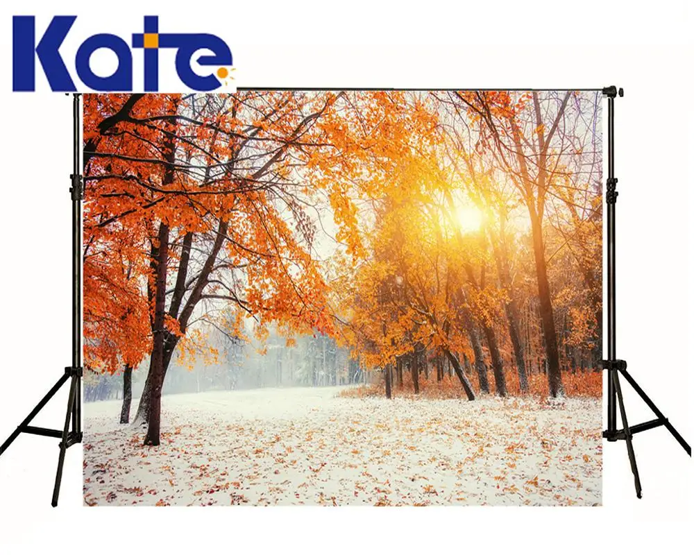 Kate Digital photo studio backdrop Kate Frozen Snow Winter Sun Fond Photographie Maple Defoliation Kate background backdrop
Kate Digital photo studio backdrop Kate Frozen Snow Winter Sun Fond Photographie Maple Defoliation Kate background backdrop