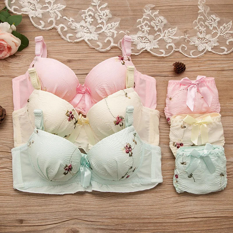 2019 Puberty Girls Teenage Girl Underwear Bra Set Girl Bra+Briefs Children Underwear Kids Clothing
2019 Puberty Girls Teenage Girl Underwear Bra Set Girl Bra+Briefs Children Underwear Kids Clothing