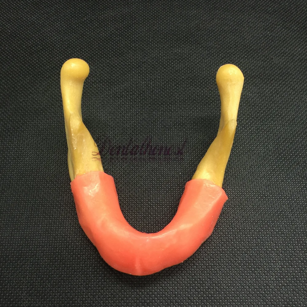 Dental Lower Jaw Implant Model Simulation Of Human Mandibular Mandible Oral Exercise Tool Dental Education Teaching Study
Dental Lower Jaw Implant Model Simulation Of Human Mandibular Mandible Oral Exercise Tool Dental Education Teaching Study