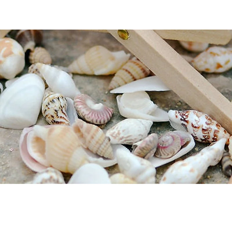 Funny 1 bag DIY Mixed Sea Shells Shell Craft Aquarium Nautical Decor Ornaments Wreaths
Funny 1 bag DIY Mixed Sea Shells Shell Craft Aquarium Nautical Decor Ornaments Wreaths