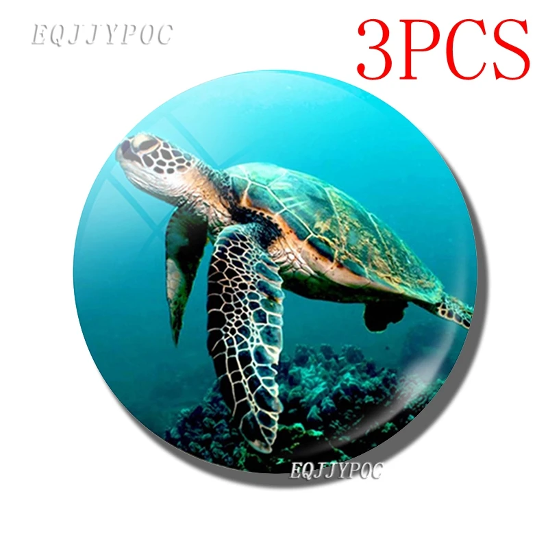 3PCS Sea Turtle Fridge Magnets Lovely Marine Life Home Decor 30MM Glass Message Note Holder Magnetic Refrigerator Stickers
3PCS Sea Turtle Fridge Magnets Lovely Marine Life Home Decor 30MM Glass Message Note Holder Magnetic Refrigerator Stickers