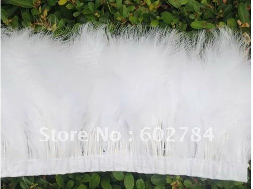 2 meter/pc feather length 12-15cm white Turkey feather selvage clothing accessories feather selvedge skirt edge Free Shipping
2 meter/pc feather length 12-15cm white Turkey feather selvage clothing accessories feather selvedge skirt edge Free Shipping