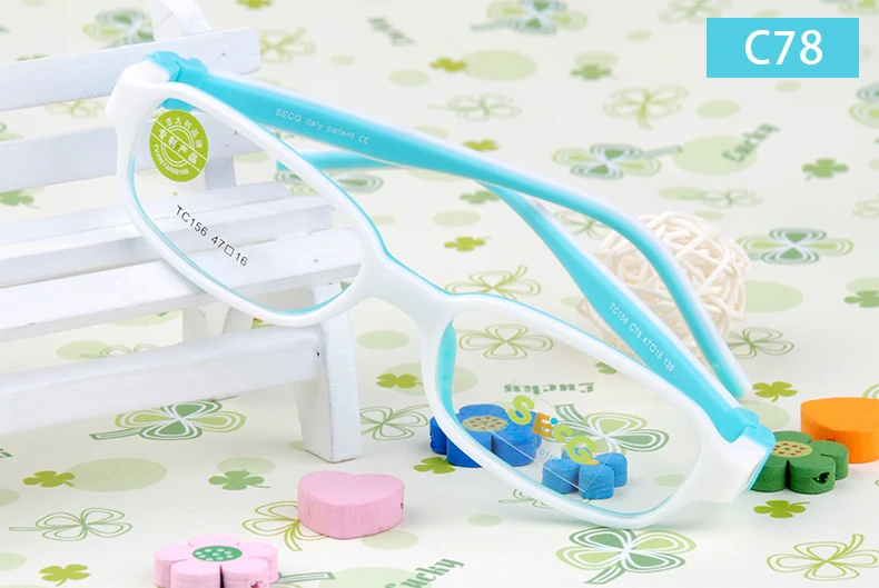 SECG Eyeglasses Protective Case