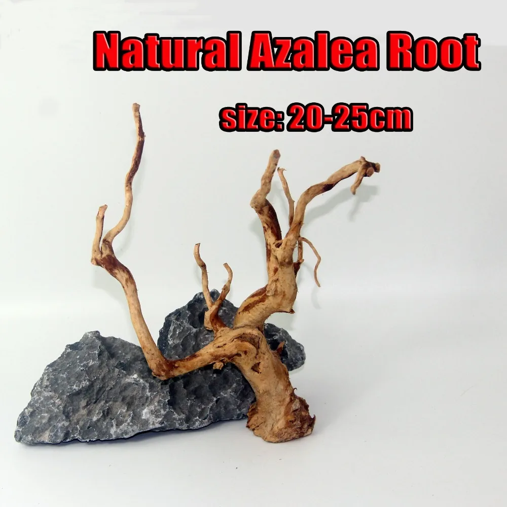 Aquarium wood Root Trunk Nature Root Fish Tank Decoration Plant Branch Decoration Ornament Azalea root wood
Aquarium wood Root Trunk Nature Root Fish Tank Decoration Plant Branch Decoration Ornament Azalea root wood