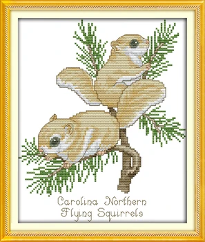 Two squirrels Funny gifts Home Decor Cross Stitch Kits Printed Canvas DMC Counted Cross-stitch set Chinese Embroidery Needlework
Two squirrels Funny gifts Home Decor Cross Stitch Kits Printed Canvas DMC Counted Cross-stitch set Chinese Embroidery Needlework