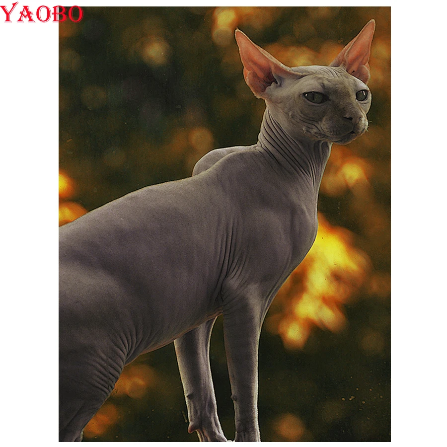 Full Square round Diamond Embroidery sphynx cats Diy 5D Diamond Painting Cross Stitch Kits Animal Arts And Crafts hobby
Full Square round Diamond Embroidery sphynx cats Diy 5D Diamond Painting Cross Stitch Kits Animal Arts And Crafts hobby