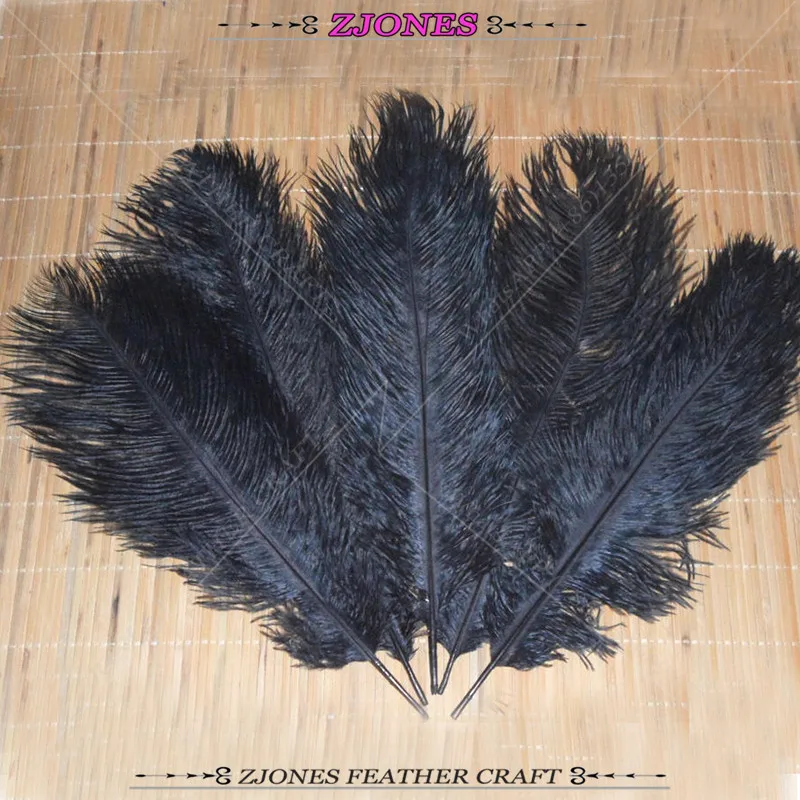10pcs High Quality Black Ostrich Feathers 8~10" 20 ~ 25cm DIY Wedding Decoration DIY Crafts Carnival/Samba Show Plume Colorful
10pcs High Quality Black Ostrich Feathers 8~10" 20 ~ 25cm DIY Wedding Decoration DIY Crafts Carnival/Samba Show Plume Colorful