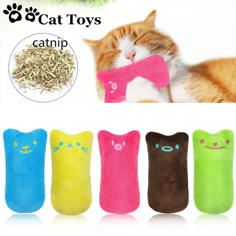 Style Interactive Fancy Catnip Cat Pillow Toy Teeth Grinding Claws For Pets Funny Toys
Style Interactive Fancy Catnip Cat Pillow Toy Teeth Grinding Claws For Pets Funny Toys