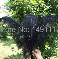 Wholesale 10 pcs/ lot high quality Black ostrich feathers 22-24inches / 55-60cm DIY jewelry decoration / wedding celebration
Wholesale 10 pcs/ lot high quality Black ostrich feathers 22-24inches / 55-60cm DIY jewelry decoration / wedding celebration