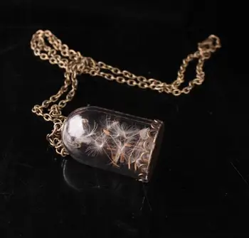 Wholesale 50pcs dandelion Dry Flower Glass Vial Necklace glass Bubble Dome Necklace Wish Glass Bottle Necklace 27*18mm glass
Wholesale 50pcs dandelion Dry Flower Glass Vial Necklace glass Bubble Dome Necklace Wish Glass Bottle Necklace 27*18mm glass