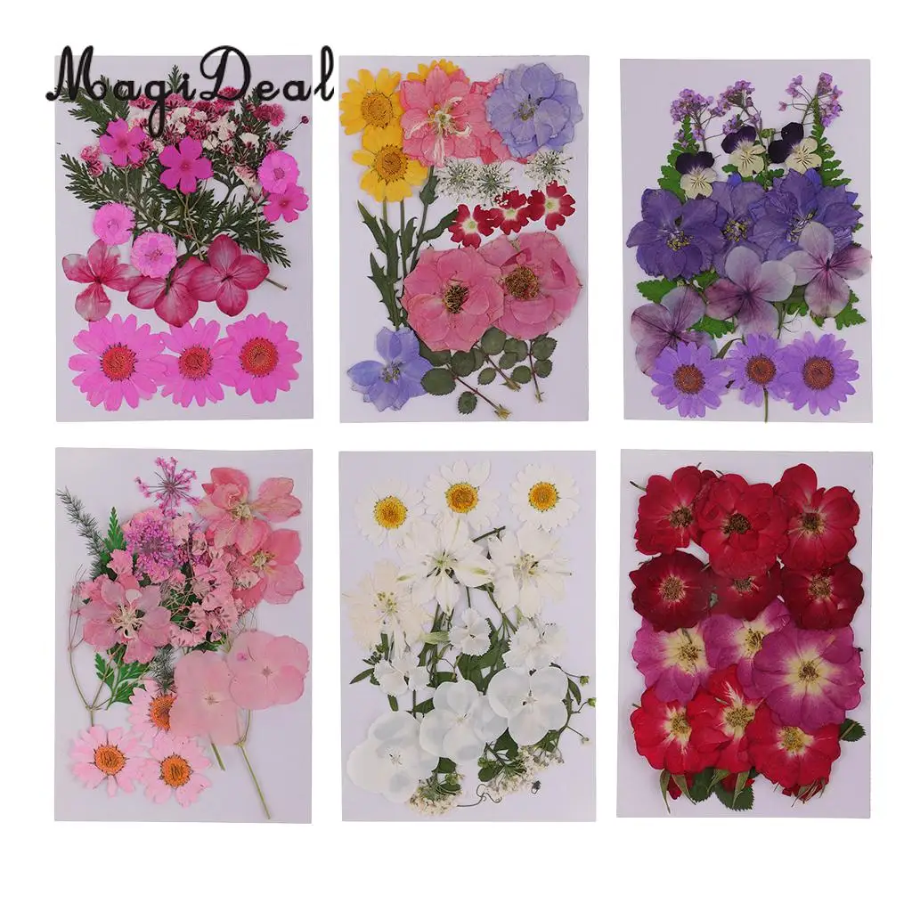 Beautiful Multiple Real Pressed Leaves Natural Dried Flowers for Art Craft Scrapbooking Card Making Resin Jewelry Craft DIY
Beautiful Multiple Real Pressed Leaves Natural Dried Flowers for Art Craft Scrapbooking Card Making Resin Jewelry Craft DIY