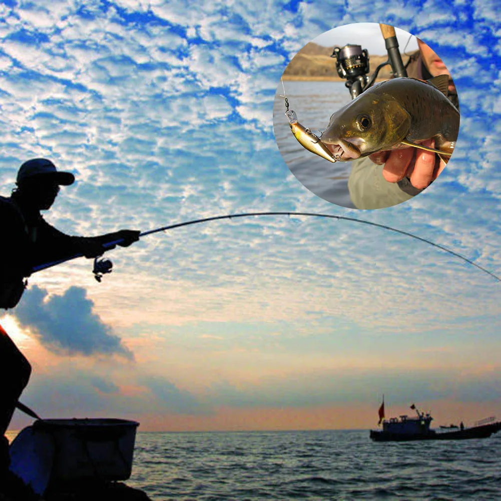 56pcs Fishing Lures Bionic Bait 3D Eyes Different Types Fish Shape Artificial Attractive Bait EDF88
56pcs Fishing Lures Bionic Bait 3D Eyes Different Types Fish Shape Artificial Attractive Bait EDF88