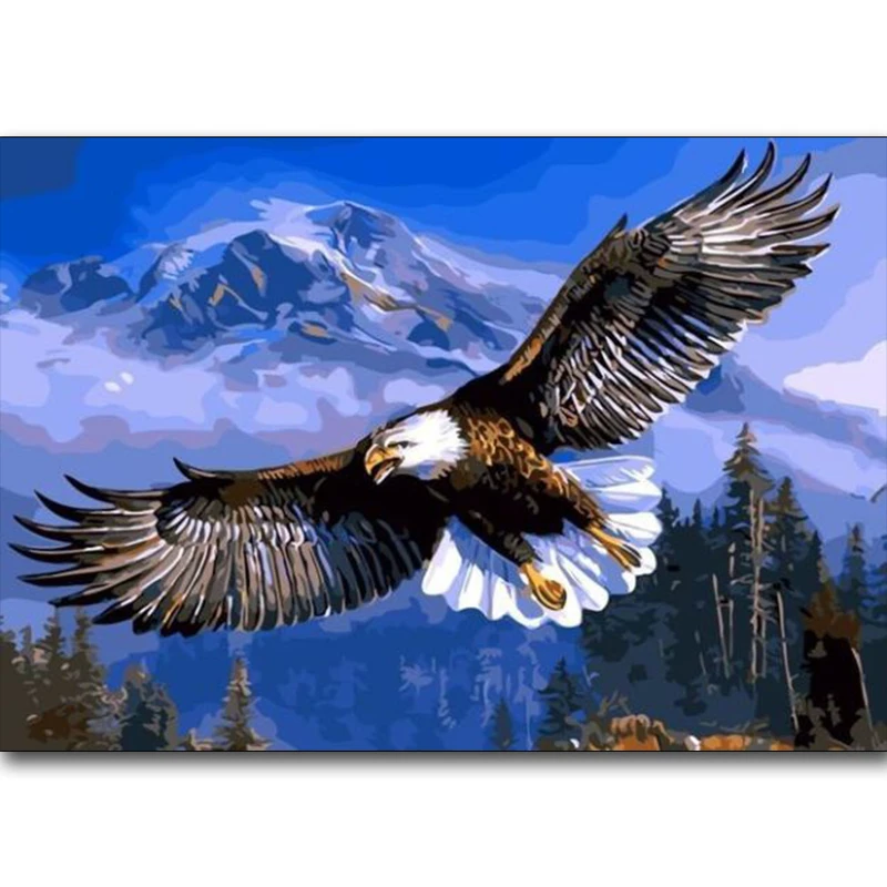 New 5D DIY diamond embroidery eagle in the sky diamond painting Cross Stitch full square Rhinestone mosaic home decoration
New 5D DIY diamond embroidery eagle in the sky diamond painting Cross Stitch full square Rhinestone mosaic home decoration