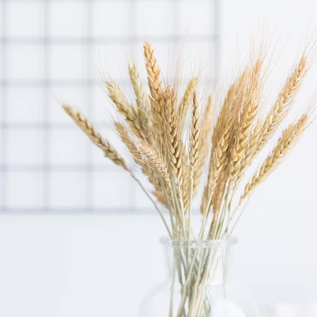 20 Stems Natural Dried Flowers Decorative Flowers Wheat Ear Bouquet Dried Branches Wedding Decoration Flower Wreath DIY
20 Stems Natural Dried Flowers Decorative Flowers Wheat Ear Bouquet Dried Branches Wedding Decoration Flower Wreath DIY