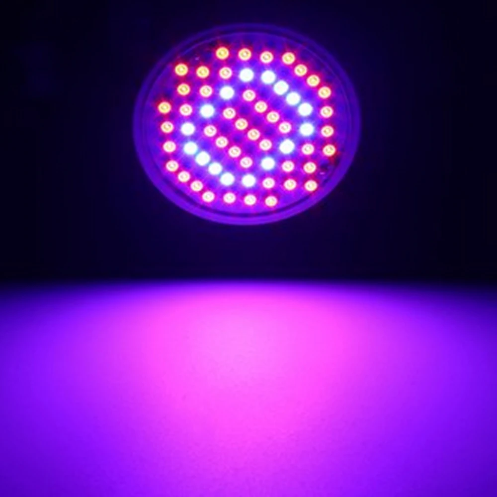 60 LEDs Grow Light Full Spectrum 44Red:16Blue E27 AC85~265V Indoor Plant Lamp Best For Flowering Plants Vegs Hydroponic System
60 LEDs Grow Light Full Spectrum 44Red:16Blue E27 AC85~265V Indoor Plant Lamp Best For Flowering Plants Vegs Hydroponic System