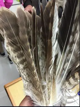 wholesale 100pcs/set 15-30cm/6-15inch long natural Pheasant Feather Rare eagle feather diy decorative feathers collection
wholesale 100pcs/set 15-30cm/6-15inch long natural Pheasant Feather Rare eagle feather diy decorative feathers collection