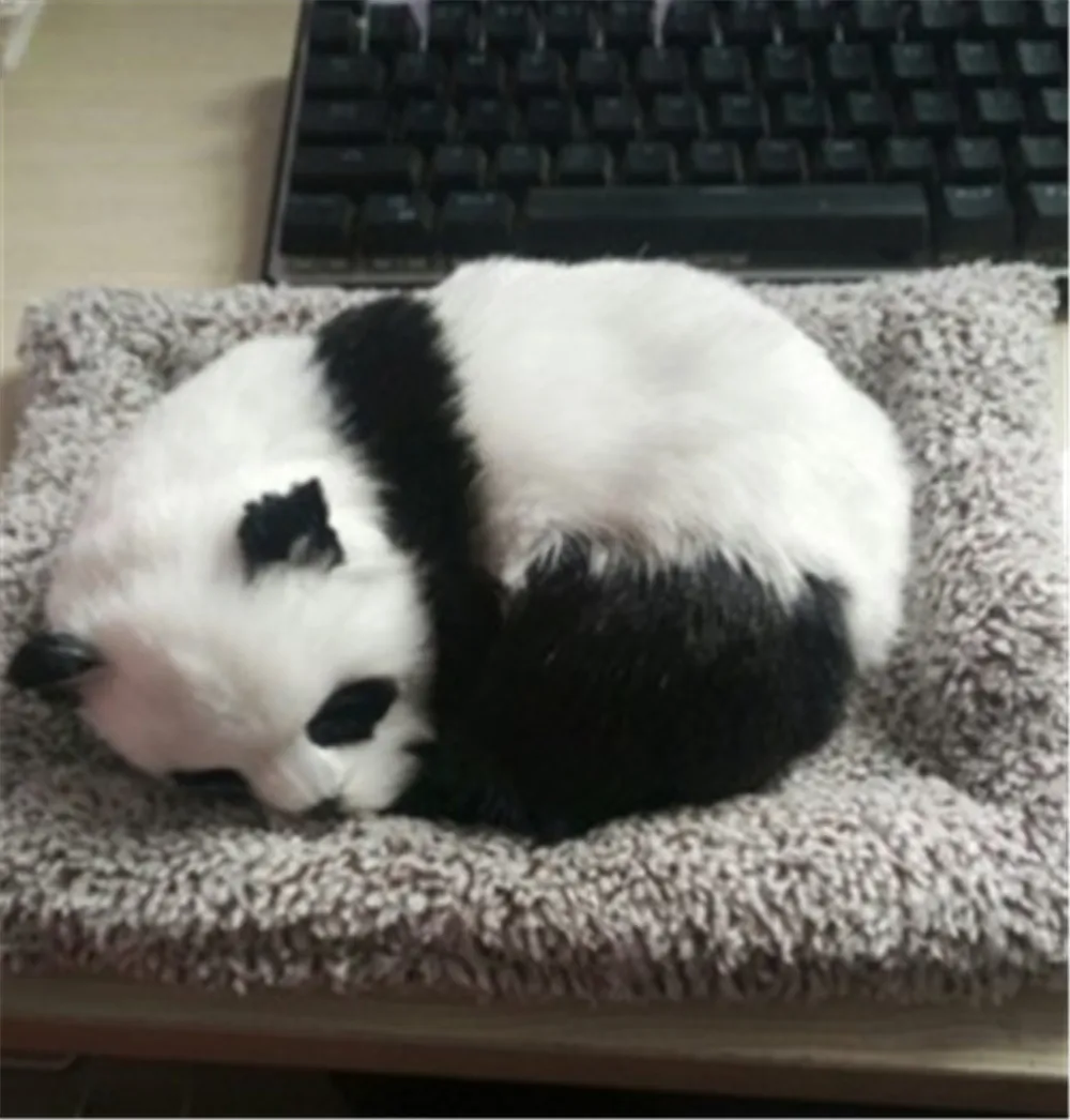 Fancytrader Cute Animals Cat Fox Dog Panda Lying on Blanket Toys Purify Air Cars Decoration Doll5