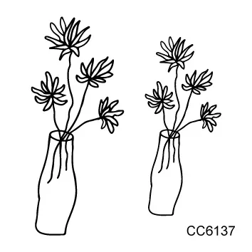 cc 60 (7)
