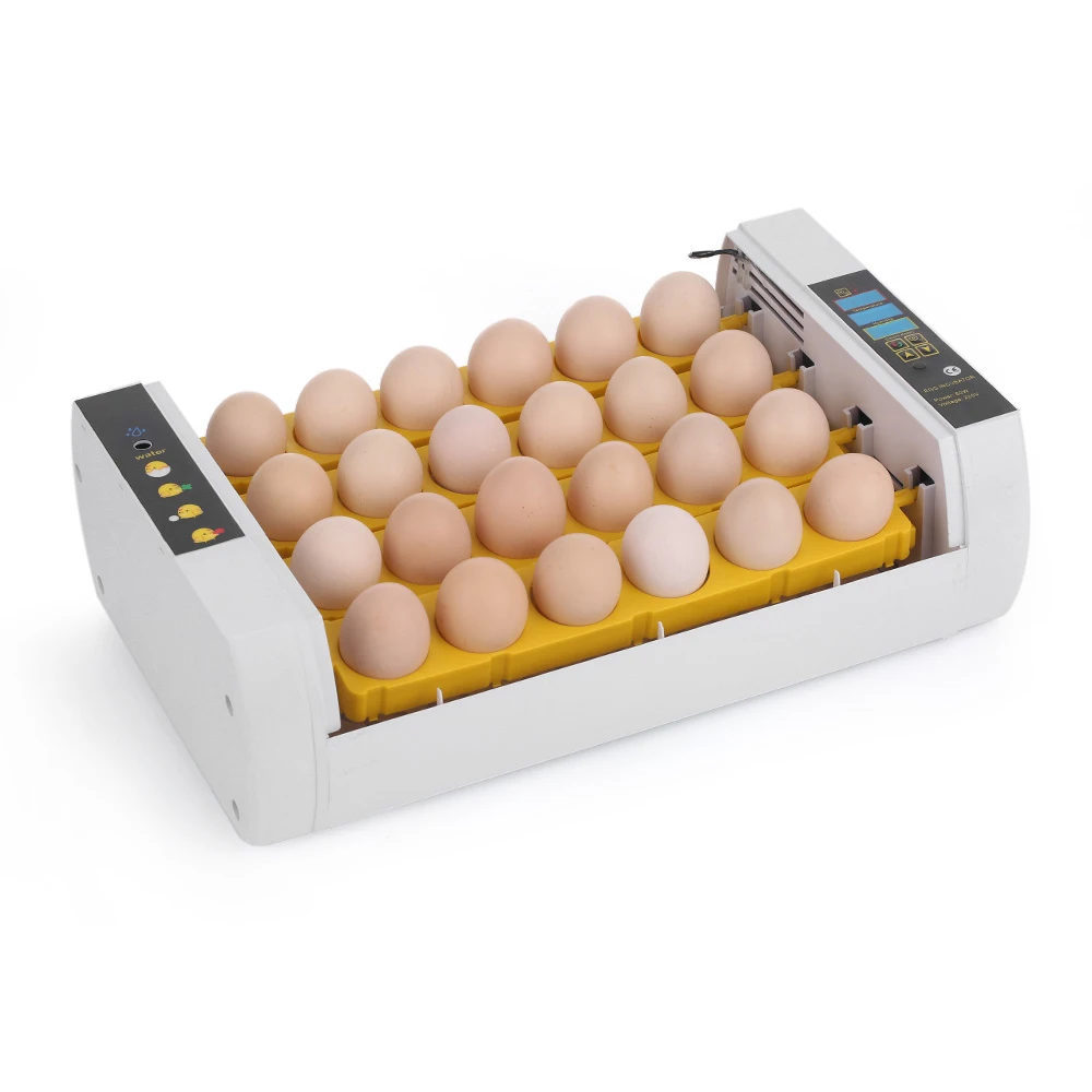 24-Eggs Intelligent Automatic Egg Incubator Temperature Control Hatcher for Hatching Chicken Duck Bird Quail Poultry AC110-220V
24-Eggs Intelligent Automatic Egg Incubator Temperature Control Hatcher for Hatching Chicken Duck Bird Quail Poultry AC110-220V